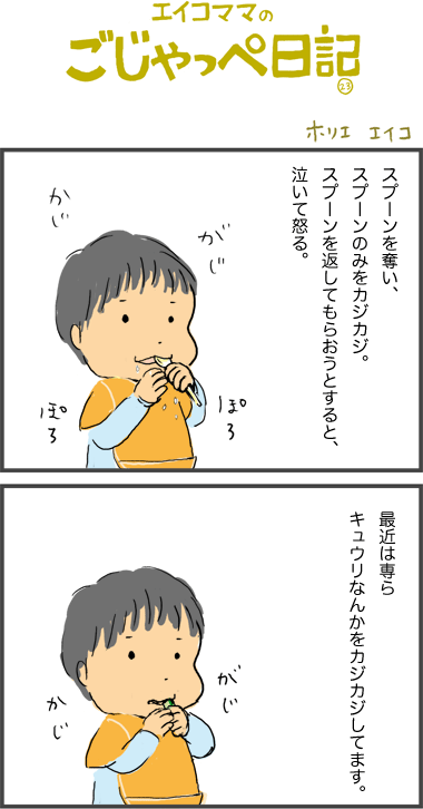 ８ヶ月と１３日